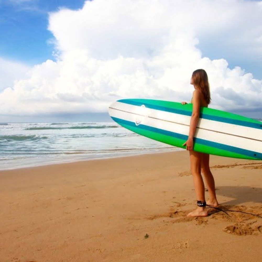 Meet your Posher, Ananda